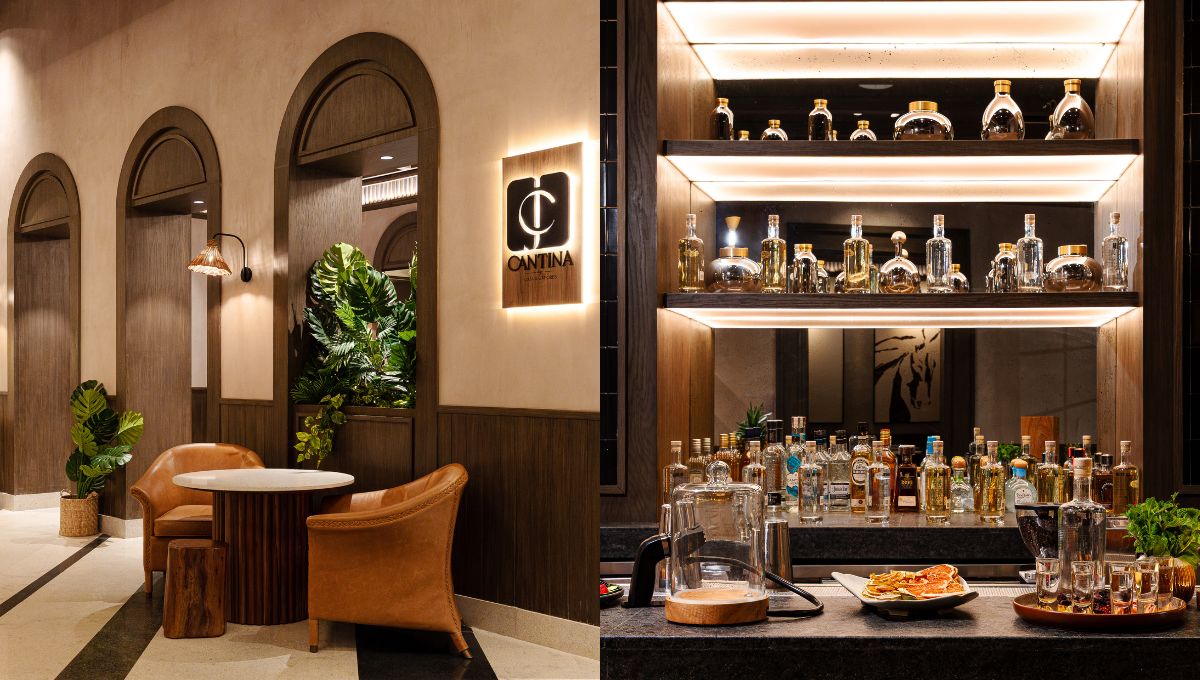 CANTINA AVA