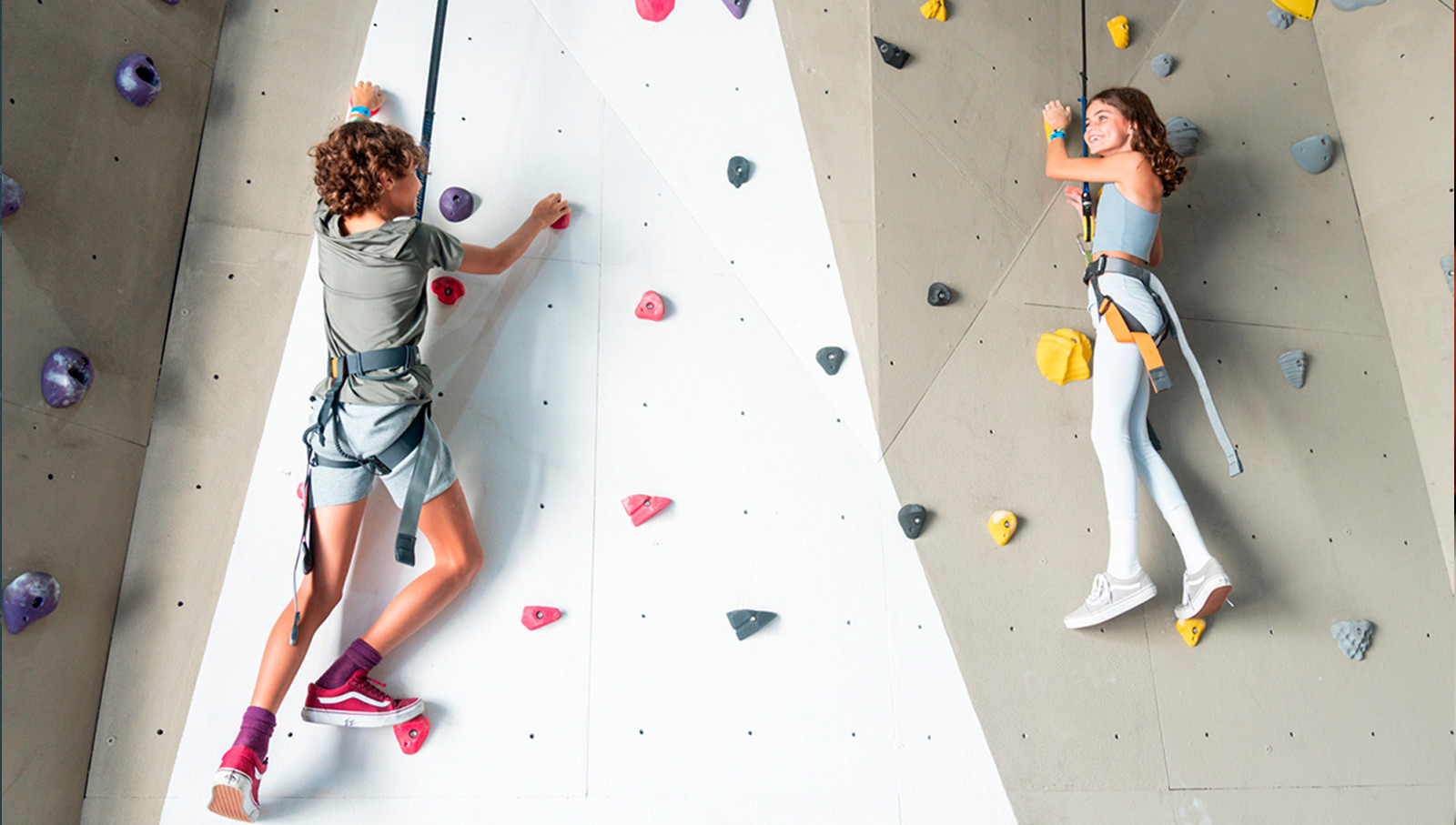 The Rock Climbing 